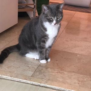 Meet your Posher, Janisha